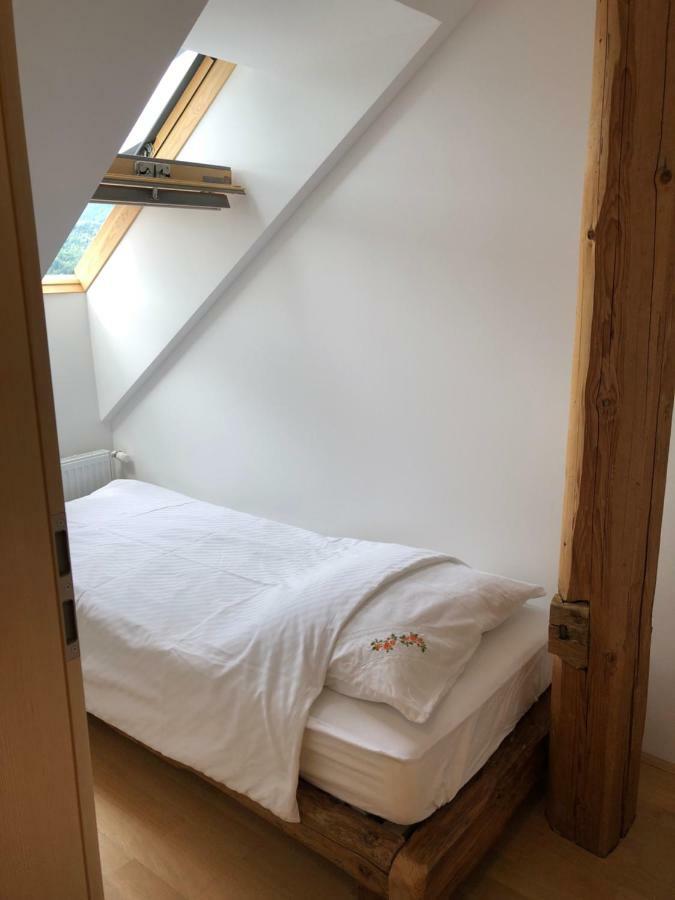 Apartma Linhartov Trg ラドヴリツァ エクステリア 写真