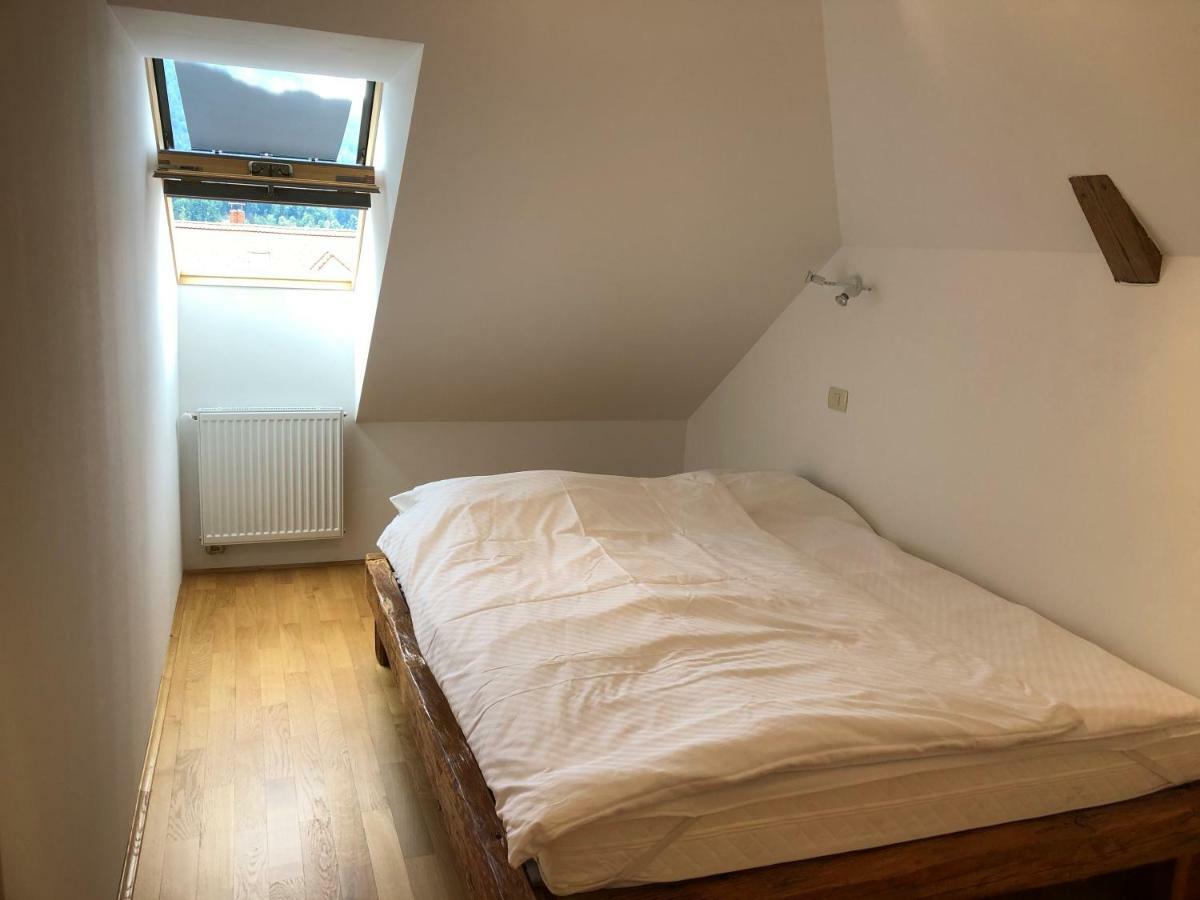 Apartma Linhartov Trg ラドヴリツァ エクステリア 写真